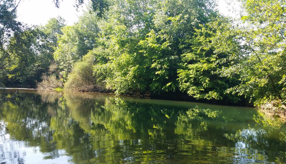 Haute-Marne