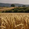 Investir dans les matières premières