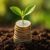 Investir 1000€ : 5 idées qui rapportent